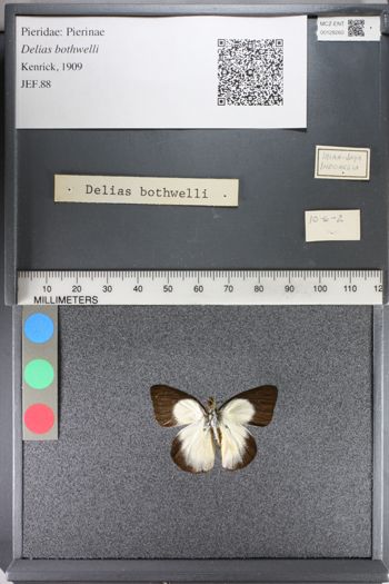 Media type: image;   Entomology 128260